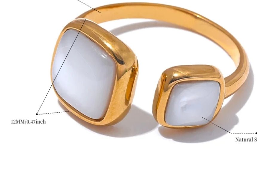 ANILLO 104P