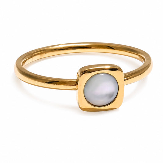 ANILLO 107P