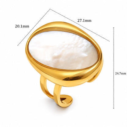 ANILLO 132P